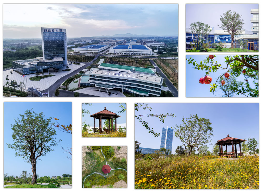 云顶集团(中国区)官方网站