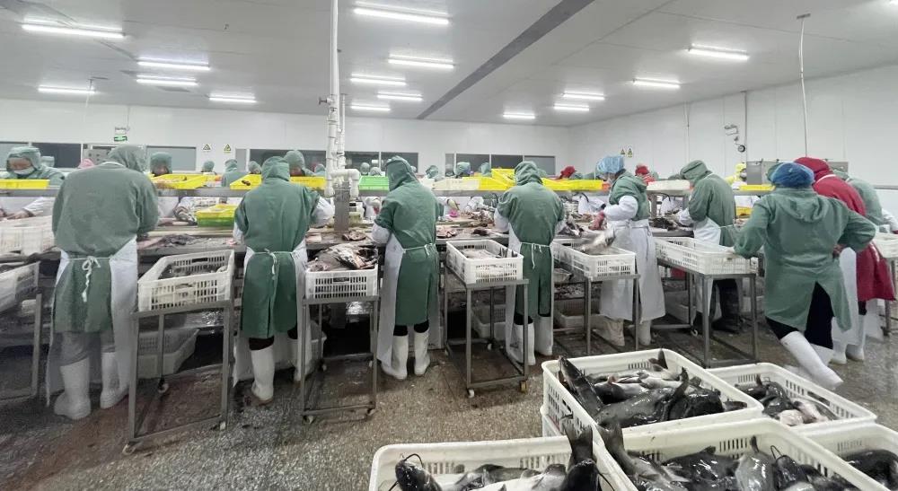 云顶集团(中国区)官方网站