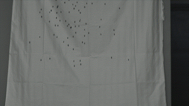 云顶集团(中国区)官方网站