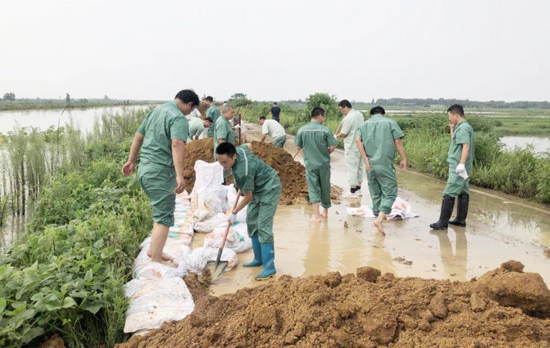 云顶集团(中国区)官方网站