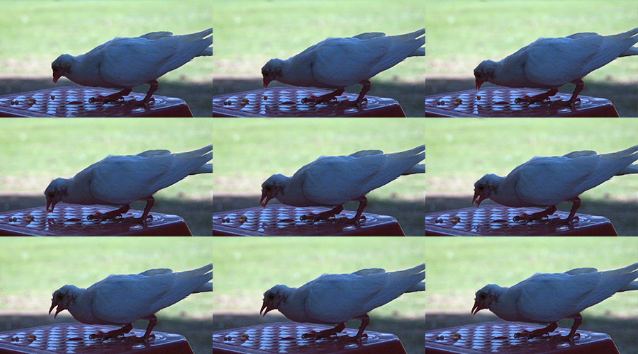 云顶集团(中国区)官方网站