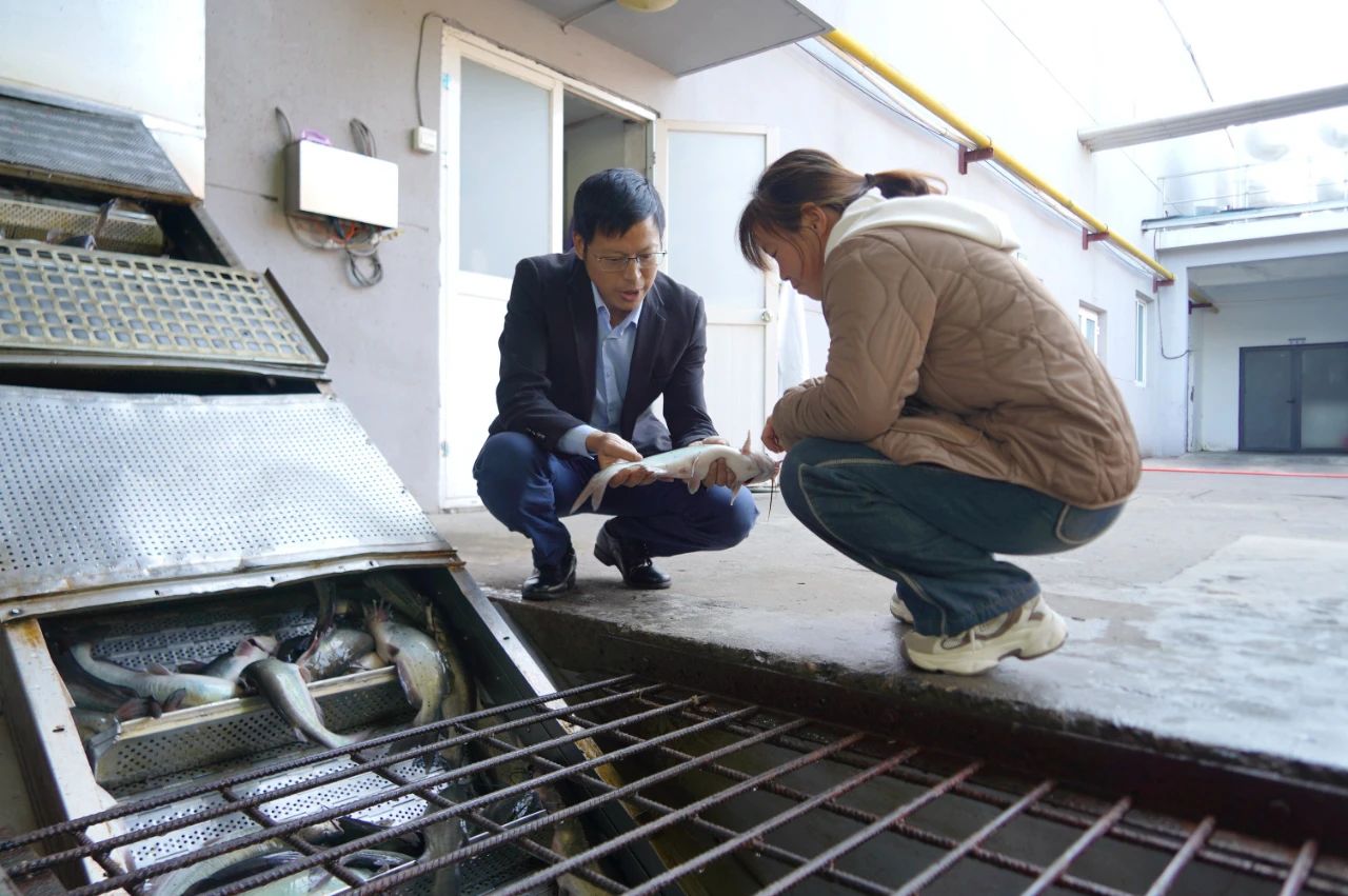 云顶集团(中国区)官方网站